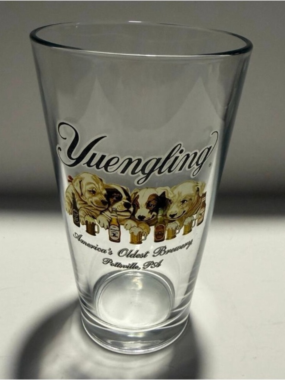 Yuengling Puppy Logo Pint Glass - Clear